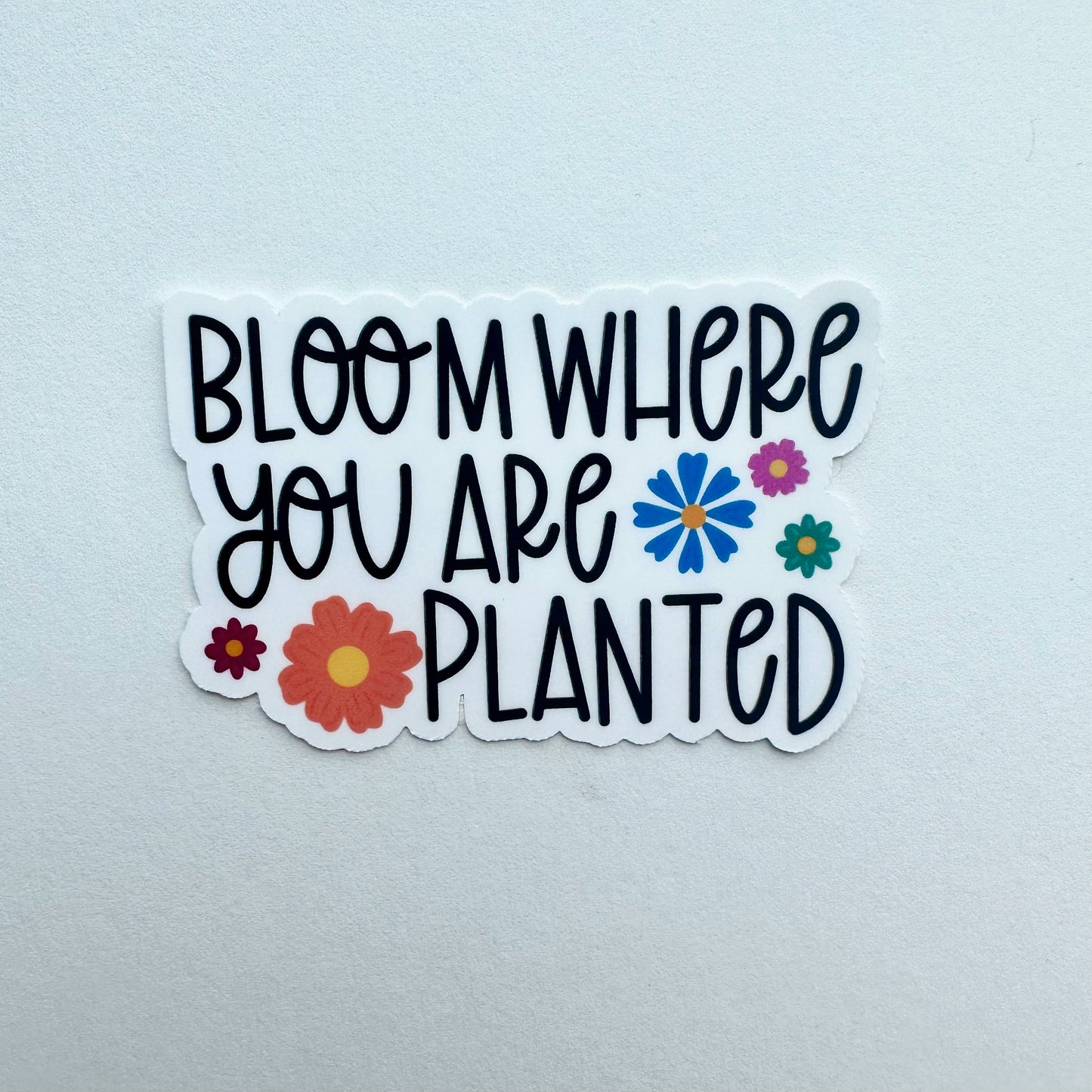Bloom Where You Are Planted Sticker