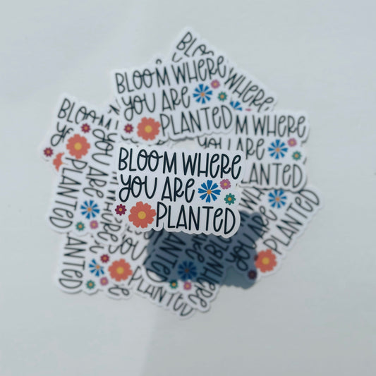 Bloom Where You Are Planted Sticker